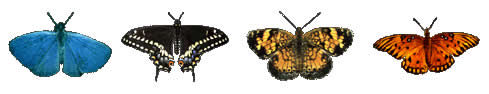 Niagara falls butterfly conservatory discount coupons 2019