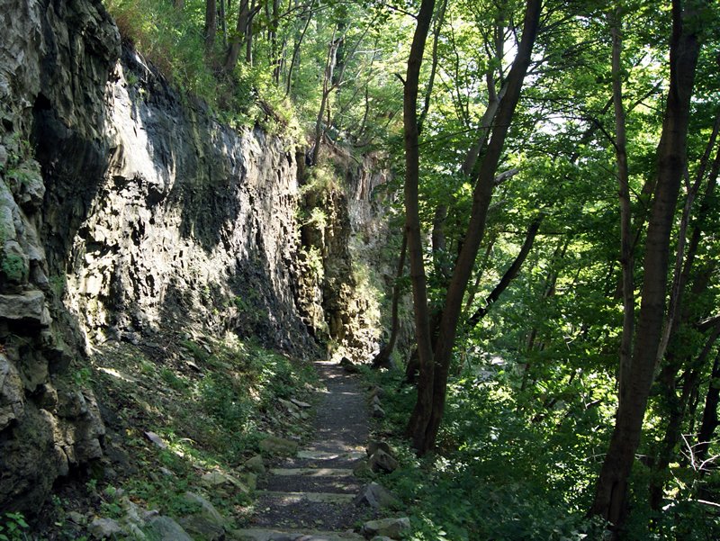 niagara gorge hiking trails steps