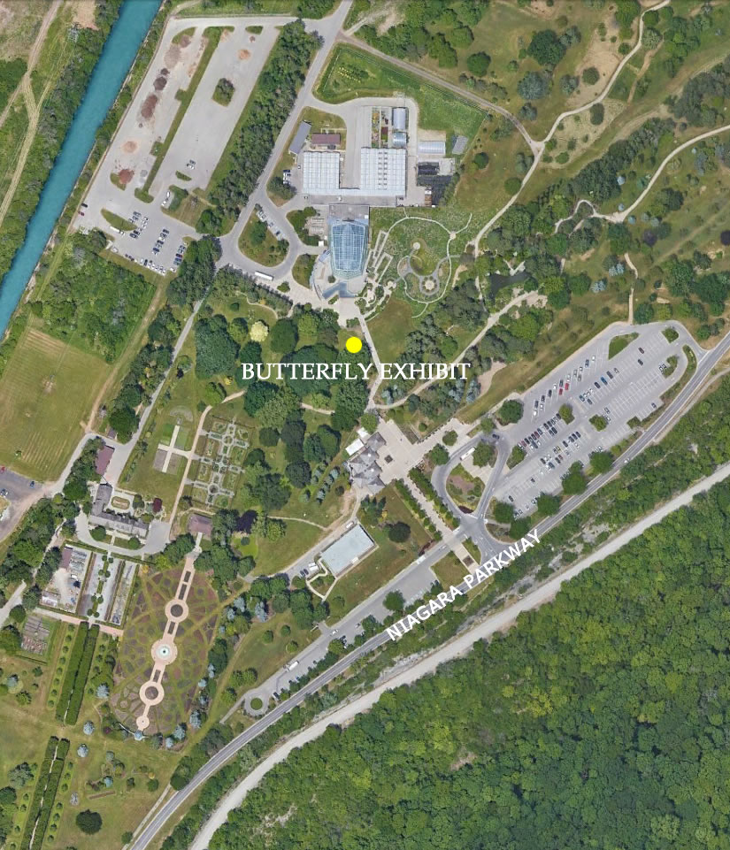 Butterfly Conservatory in Niagara Falls Ontario