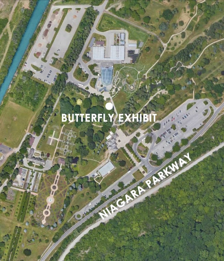 Butterfly Conservatory in Niagara Falls Ontario