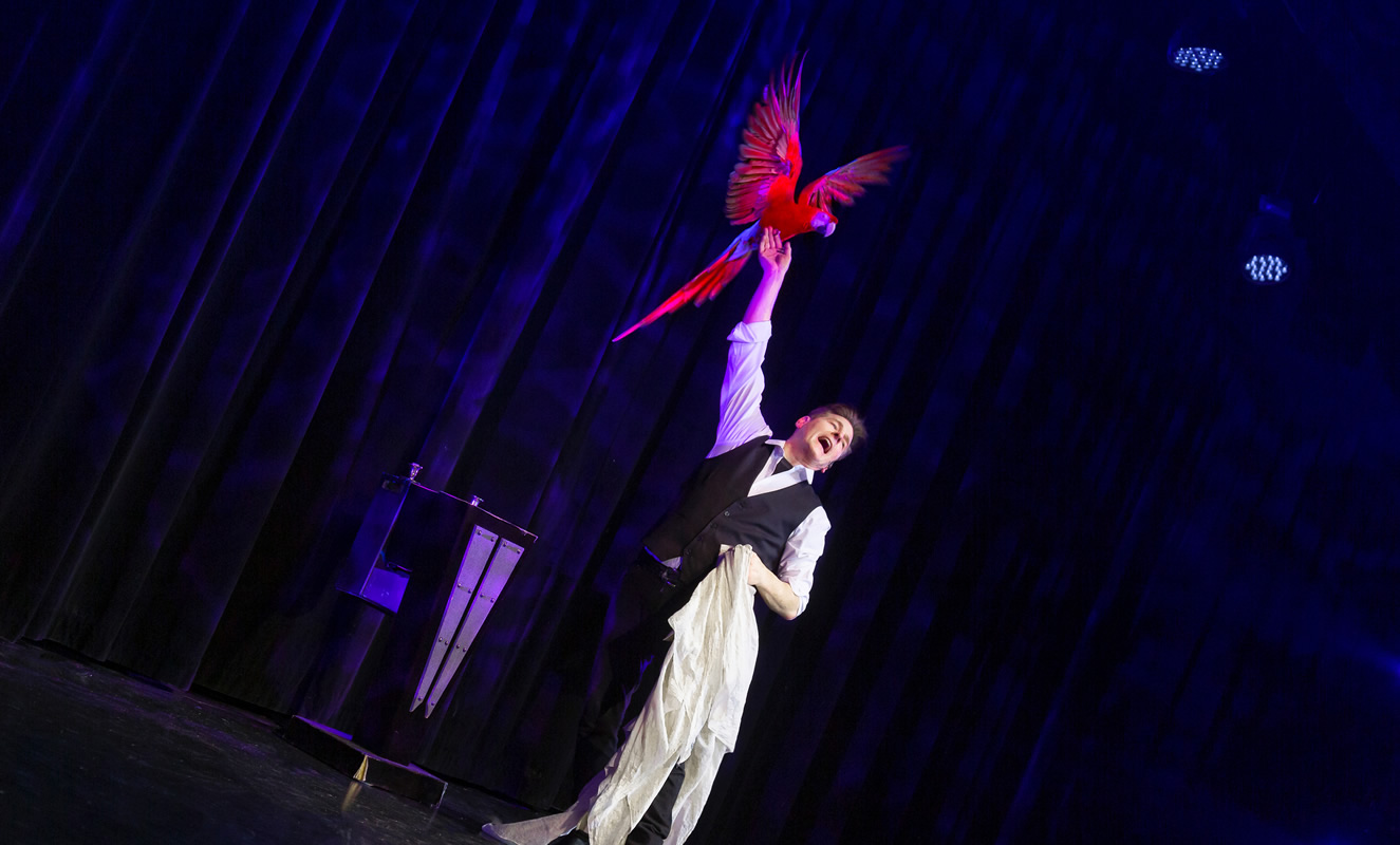 Greg Frewin Magic Show